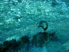 dsc06729_small.jpg