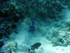 dsc06732_small.jpg