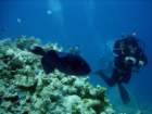 dsc06733_small.jpg