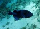 dsc06734_small.jpg