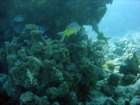 dsc06736_small.jpg