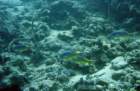 dsc06737_small.jpg