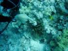 dsc06738_small.jpg