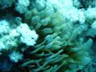 dsc06739_small.jpg