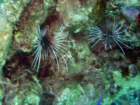 dsc06741_small.jpg