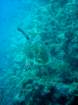 dsc06757_small.jpg