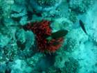 dsc06758_small.jpg