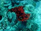 dsc06759_small.jpg