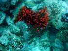 dsc06760_small.jpg