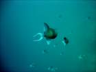 dsc06761_small.jpg