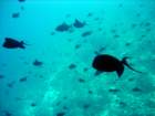 dsc06763_small.jpg
