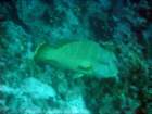 dsc06765_small.jpg