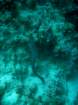 dsc06766_small.jpg