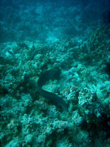 dsc06767.jpg