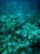 dsc06767_small.jpg