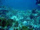 dsc06769_small.jpg