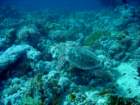 dsc06770_small.jpg