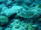 dsc06771_small.jpg