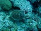 dsc06772_small.jpg