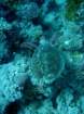 dsc06773_small.jpg