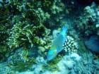 dsc06774_small.jpg