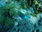 dsc06775_small.jpg