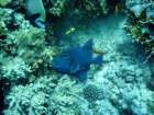 dsc06777_small.jpg