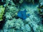 dsc06778_small.jpg