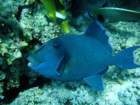dsc06779_small.jpg