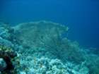 dsc06780_small.jpg