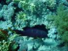dsc06782_small.jpg