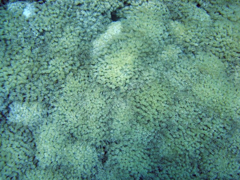 dsc06784.jpg
