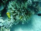 dsc06785_small.jpg