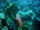 dsc06795_small.jpg