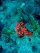 dsc06796_small.jpg