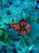 dsc06797_small.jpg
