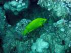 dsc06799_small.jpg