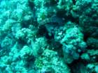 dsc06803_small.jpg