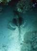 dsc06804_small.jpg