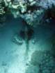 dsc06805_small.jpg