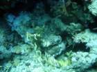 dsc06808_small.jpg