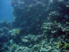 dsc06810_small.jpg