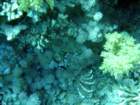 dsc06811_small.jpg