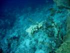 dsc06813_small.jpg