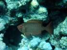 dsc06815_small.jpg