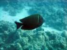 dsc06818_small.jpg
