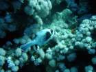 dsc06820_small.jpg