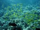 dsc06825_small.jpg