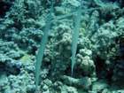 dsc06829_small.jpg