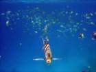 dsc06834_small.jpg